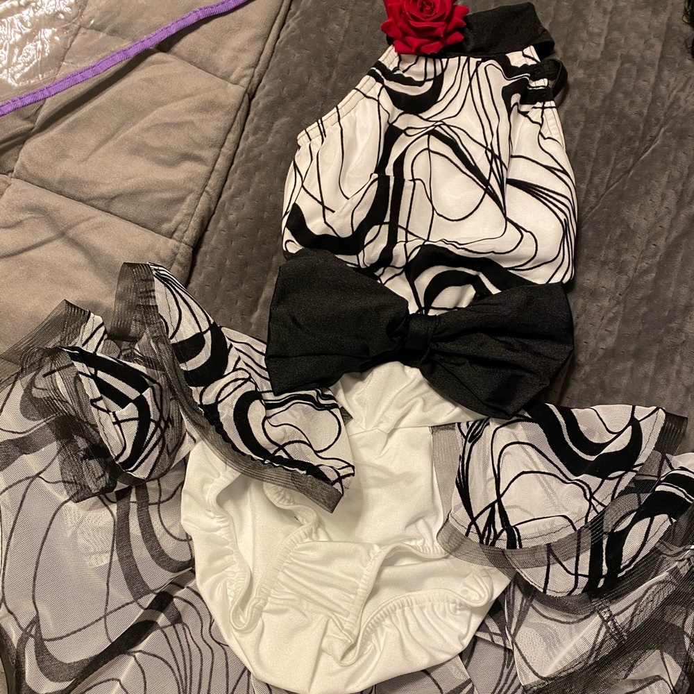 Dance costume- Child Large - Like new
